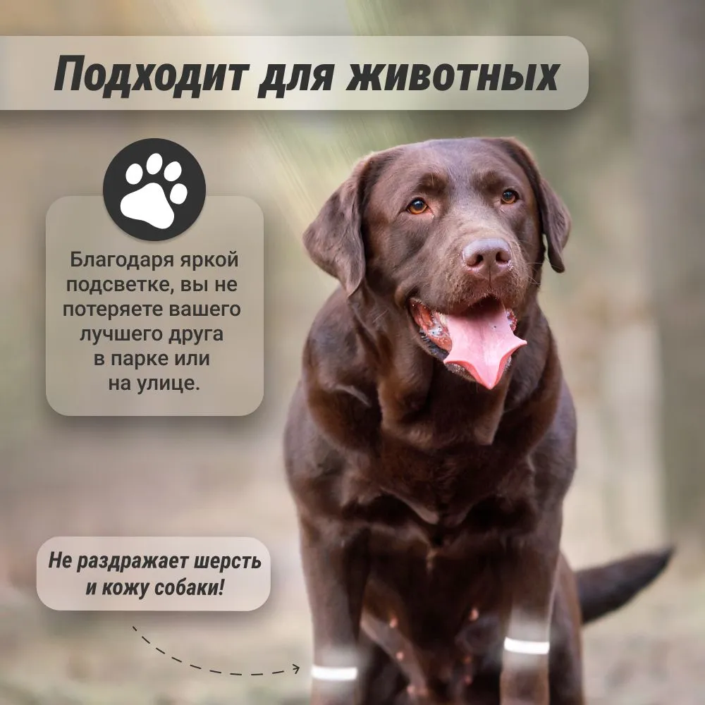 Браслет светящийся в темноте для бегунов